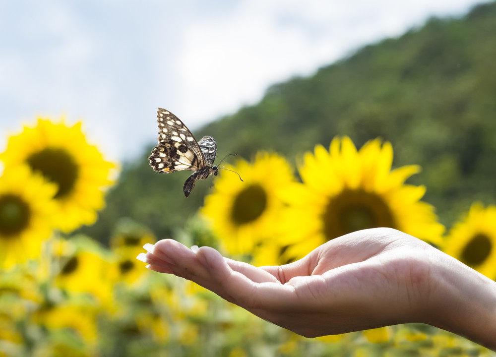 In-person therapy and counselling services in Brisbane, Logan, Toowoomba, Gold Coast, Scenic Rim, Ipswich and surrounding areas, and Australia-wide via telehealth.​