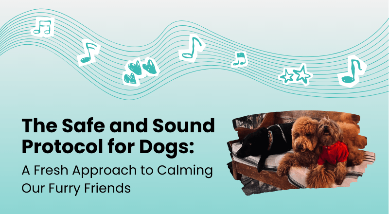 Safe and Sound Protocol for Dogs